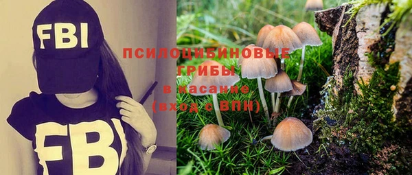 прущая мука Алзамай