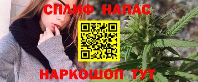 ешки Гай