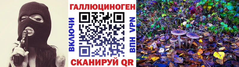 как найти наркотики  Моздок  Псилоцибиновые грибы GOLDEN TEACHER 