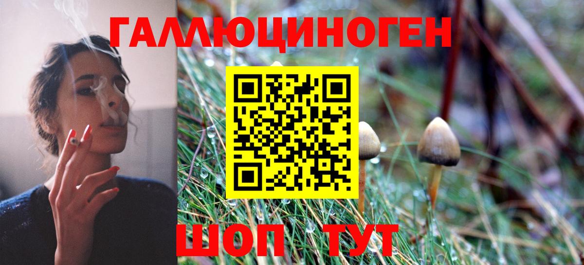 Галлюциногенные грибы ЛСД Моздок