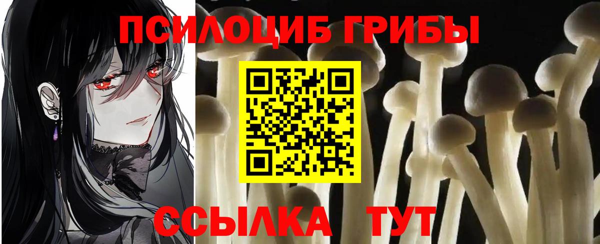Псилоцибиновые грибы GOLDEN TEACHER  Вход с VPN  купить наркотики сайты  Моздок 